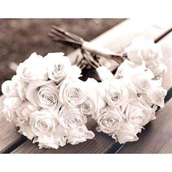 صورة الفندق 19