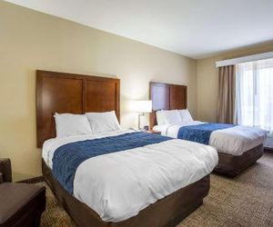 Comfort Inn & Suites Airport Baton Rouge United States