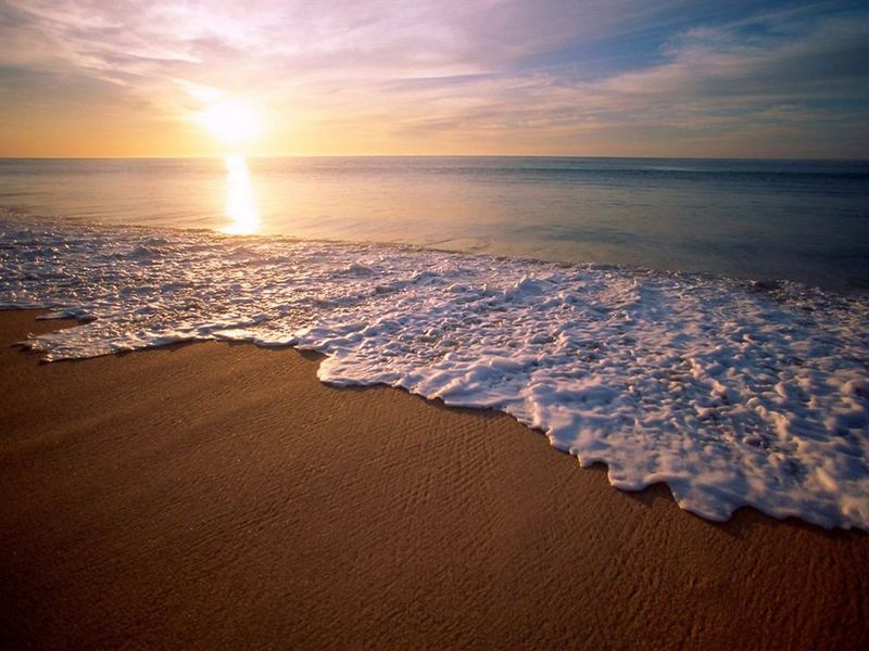 صورة الفندق 19