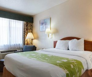 Lone Star Inn Lubbock United States