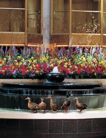 صورة الفندق 21
