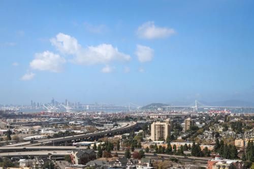 صورة الفندق 24