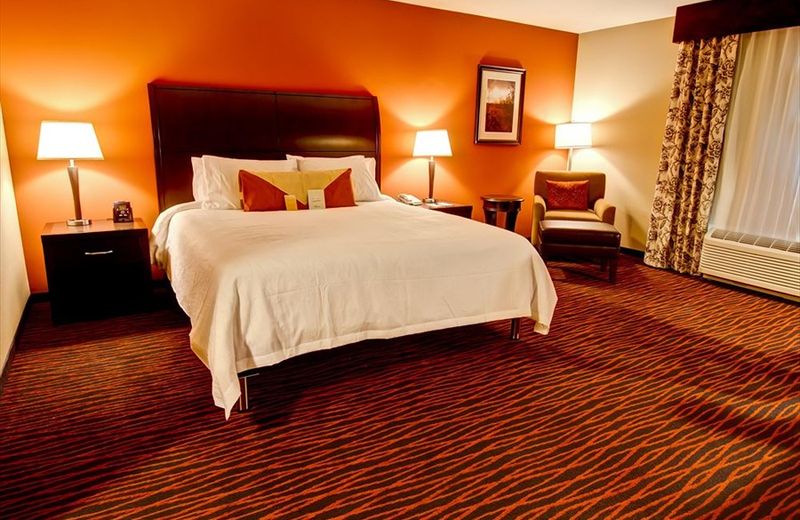 Hilton Garden Inn Rapid City