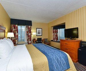 Comfort Inn & Suites Alexandria Springfield United States