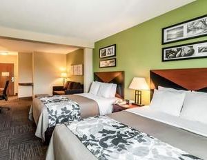Sleep Inn & Suites Dover Dover United States