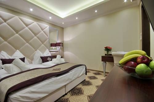 صورة الفندق 14