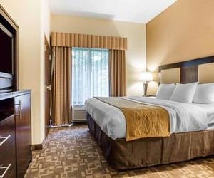Comfort Suites At Kennesaw State University Kennesaw United States