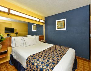 Microtel Inn & Suites by Wyndham New Braunfels I-35 New Braunfels United States