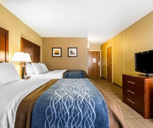 Comfort Inn & Suites Plano East Plano United States