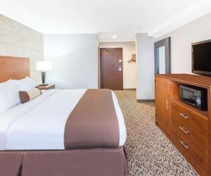 Wingate by Wyndham Detroit Metro Airport Romulus United States