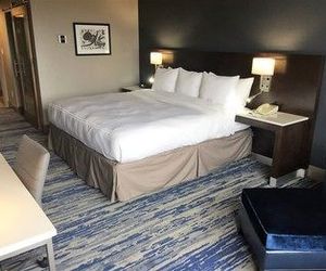 Delta Hotels by Marriott Detroit Metro Airport Romulus United States