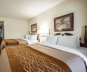 Comfort Inn & Suites at I-85 Southern Shops United States