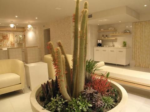 صورة الفندق 9