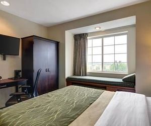 Comfort Inn & Suites Airport Dulles-Gateway Sterling United States