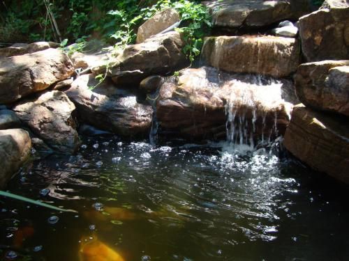 صورة الفندق 20