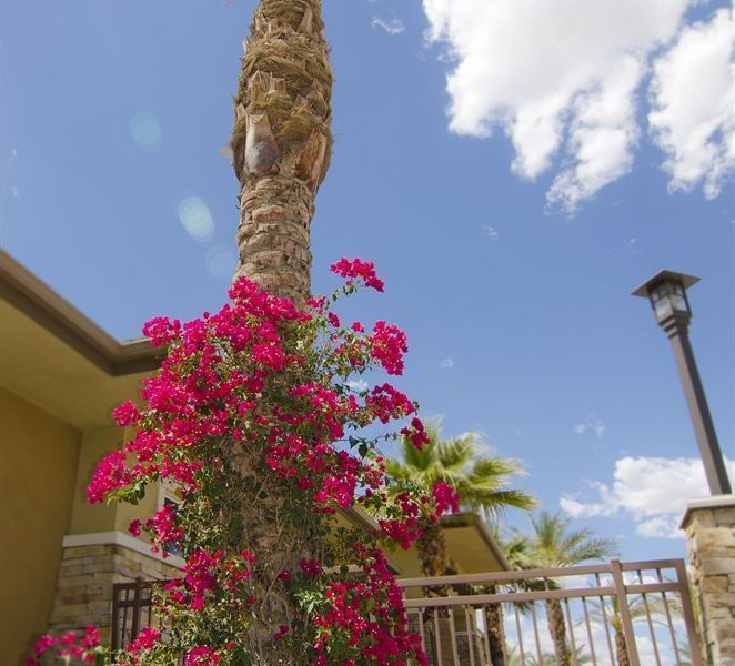 صورة الفندق 18
