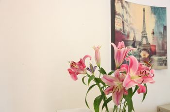 صورة الفندق 13