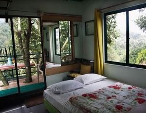 Wild Elephant Eco Friendly Resort Munnar India