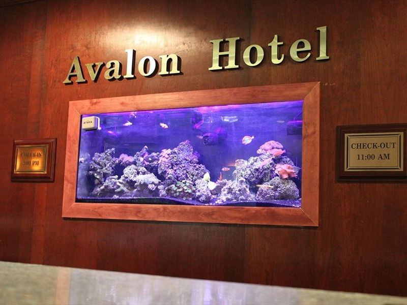 Hotel Photo 21