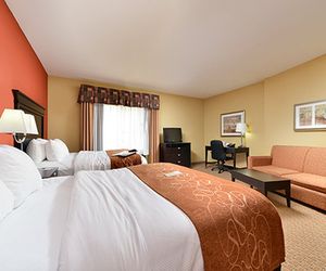 Comfort Suites Salina Salina United States