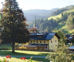 Haus Wohl Muhlbach Austria