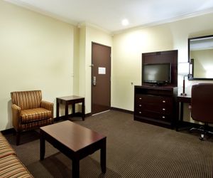 Holiday Inn Hotel & Suites Lake Charles South Lake Charles United States