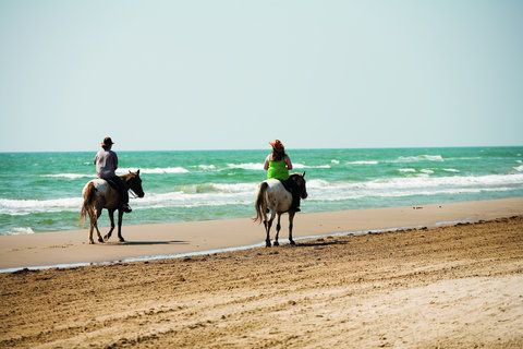 صورة الفندق 19