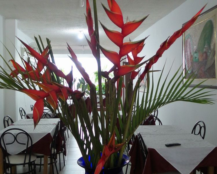 صورة الفندق 14