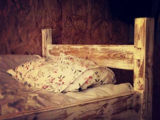 BedAndBike на Гороховой