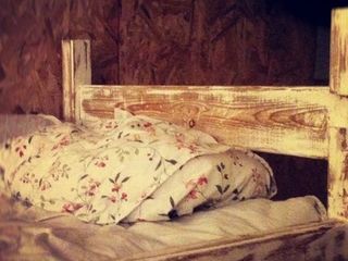 BedAndBike на Гороховой