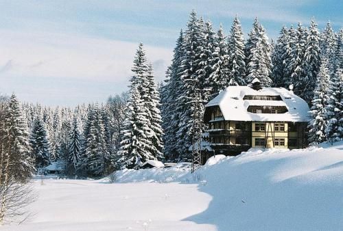 Hotel Photo 24