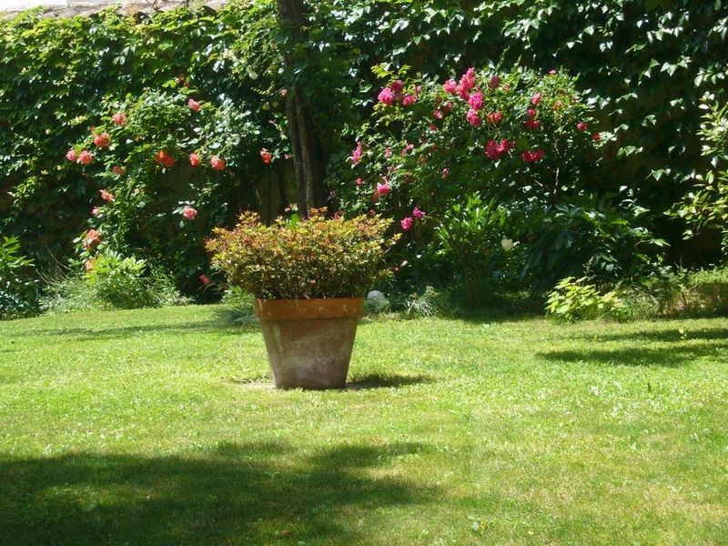 صورة الفندق 18