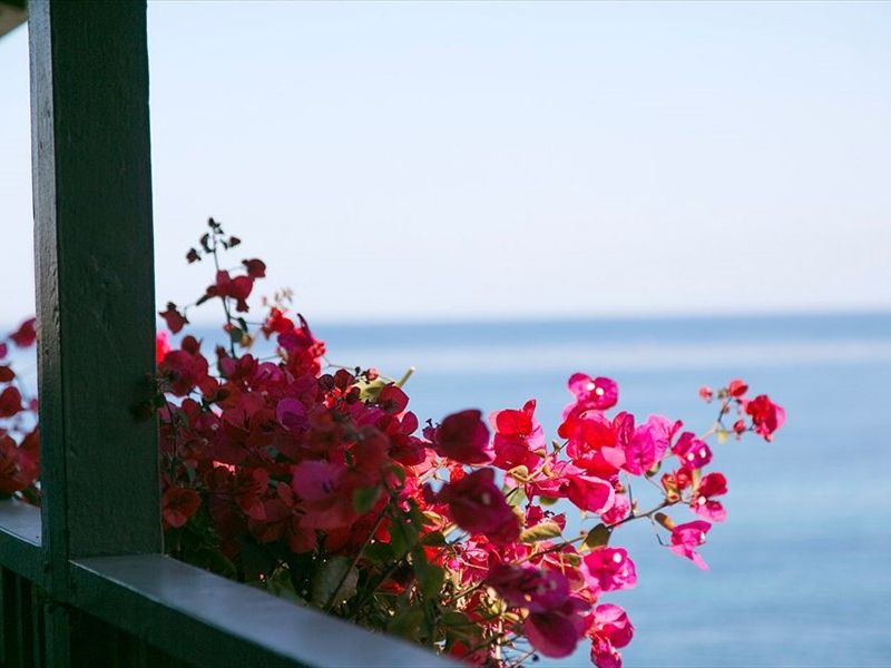 صورة الفندق 7
