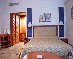 The Hotel Airport Vadodara India