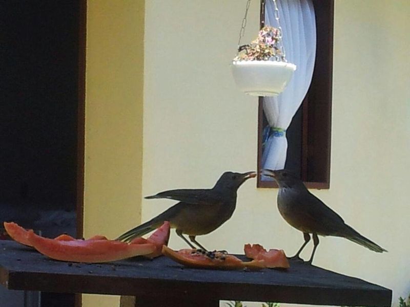 صورة الفندق 16
