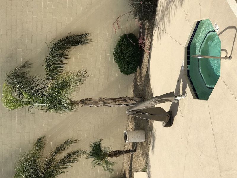 صورة الفندق 24