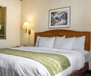 Comfort Suites Phoenix North Glendale United States