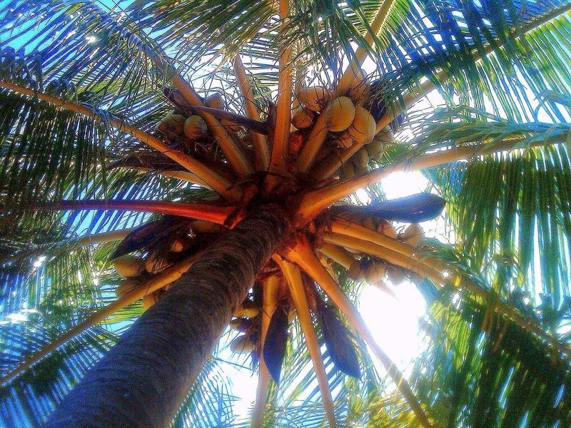 صورة الفندق 17