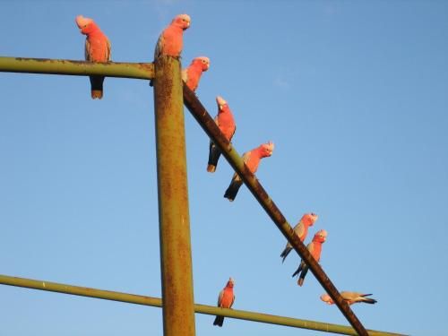 صورة الفندق 16