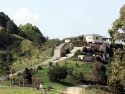 صورة الفندق 24