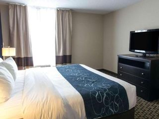 Hotel pic Comfort Suites Benton Harbor - St. Joseph