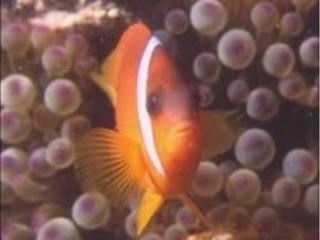 صورة الفندق 15