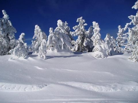 صورة الفندق 24
