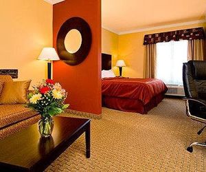 Comfort Suites Lawton Near Fort Sill Lawton United States