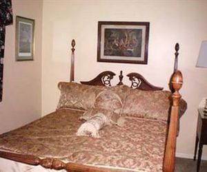 MONTAGUE INN - BED AND BREAKFAST Saginaw United States