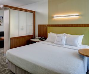 SpringHill Suites by Marriott Saginaw Saginaw United States