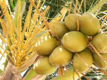صورة الفندق 20