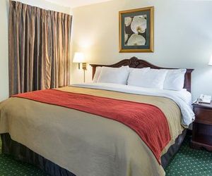 Comfort Inn Chester - Richmond South Chester United States