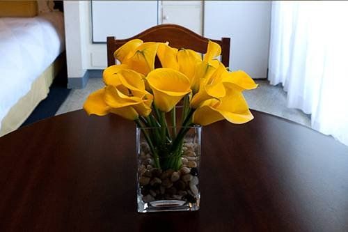 صورة الفندق 13