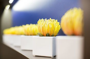 صورة الفندق 15